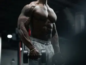 Muscle Gain Fitness Program